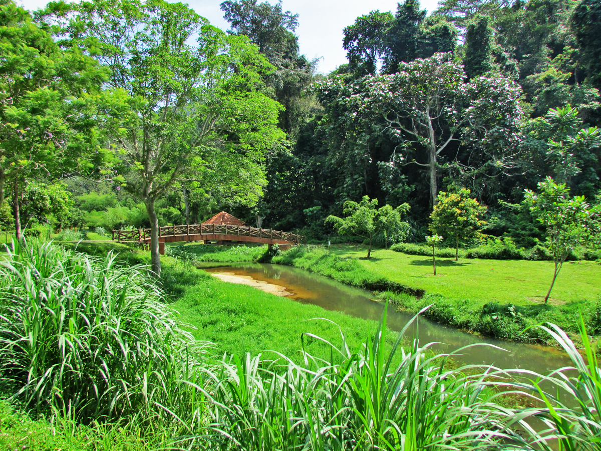 Penang Botanical Garden In The Most Exciting In The World Yallabook