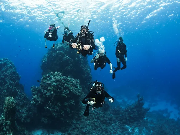 صورة الرحلة