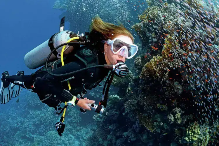 صورة الرحلة