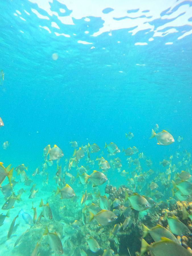 صورة الرحلة