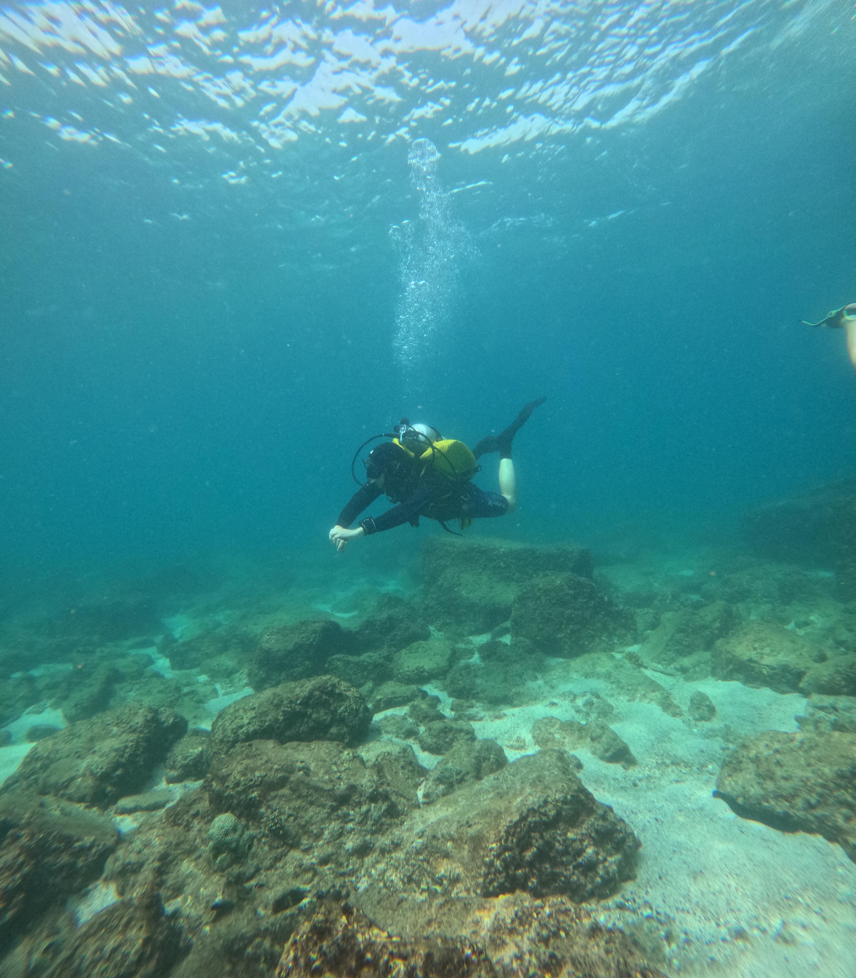 صورة الرحلة