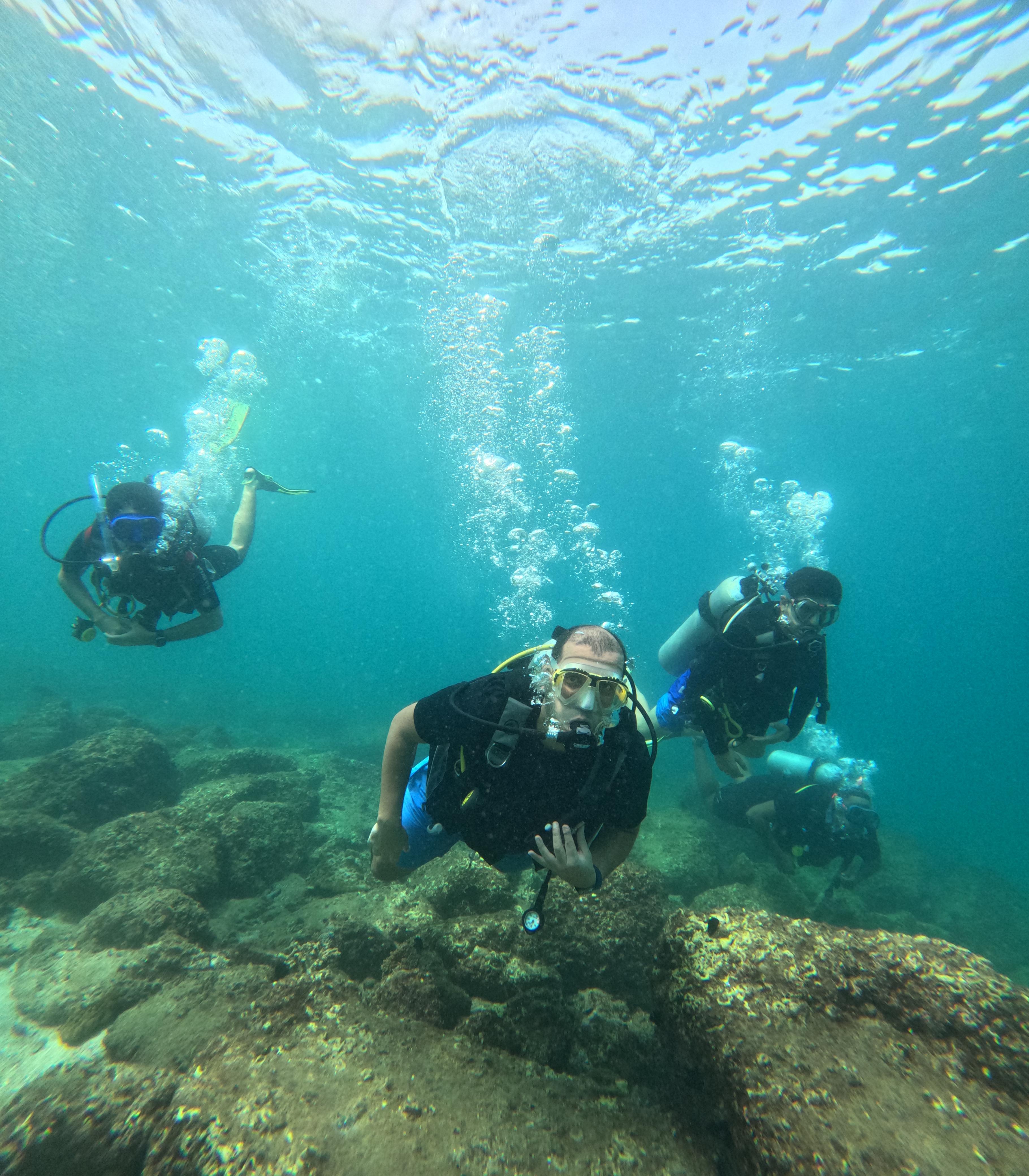 صورة الرحلة