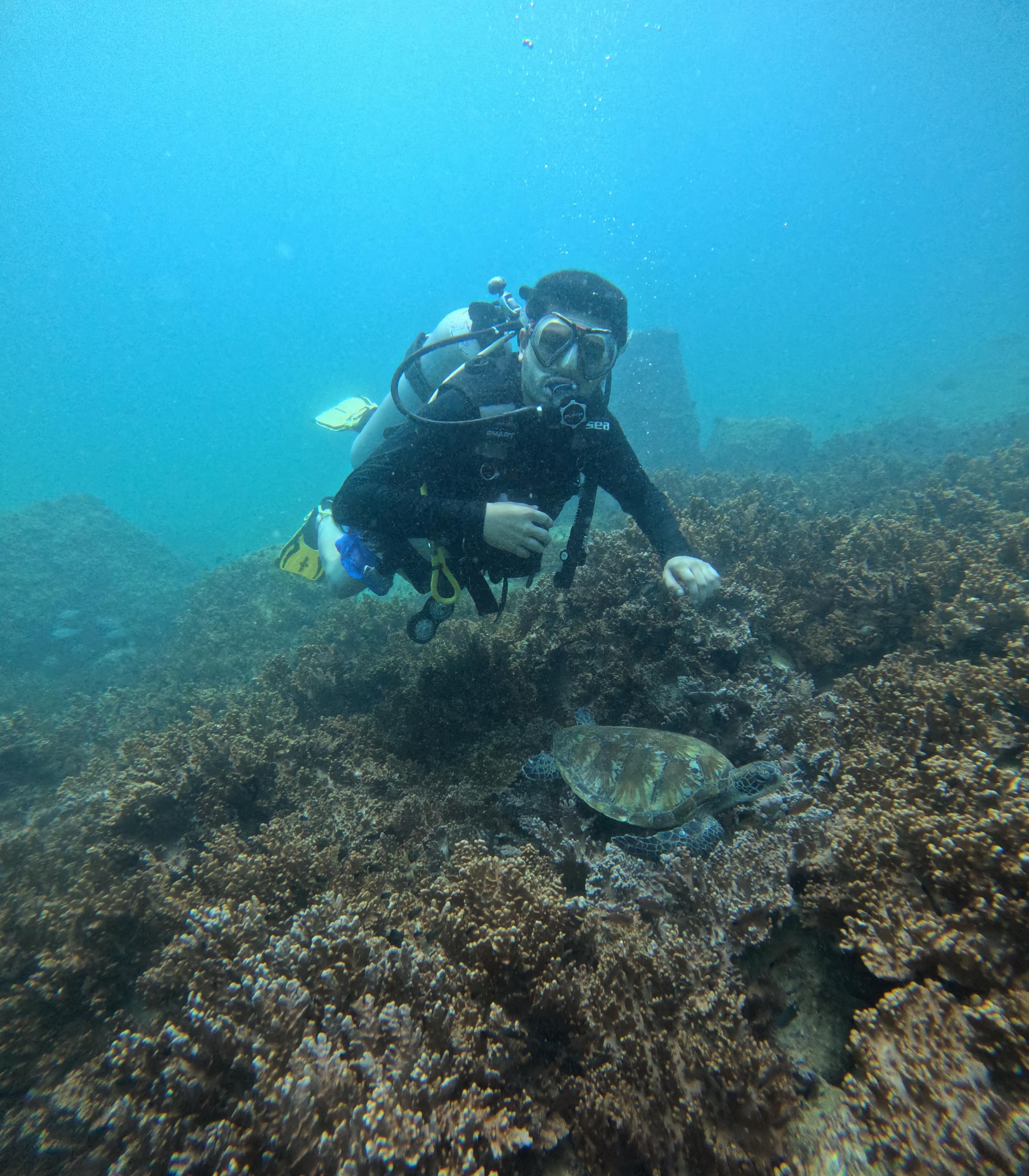 صورة الرحلة