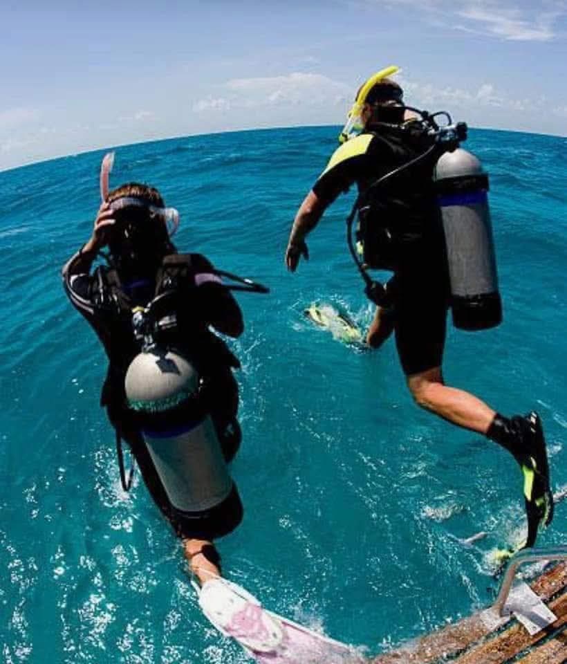 صورة الرحلة