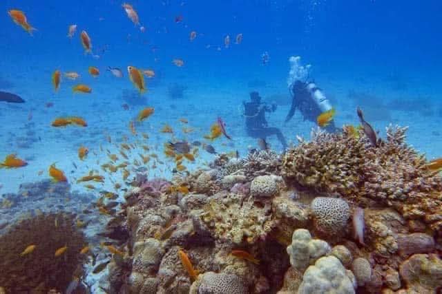 صورة الرحلة