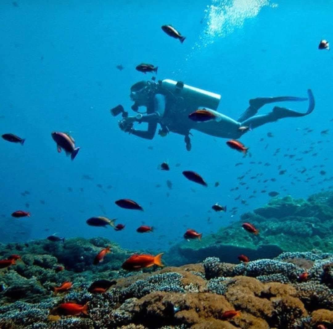 صورة الرحلة