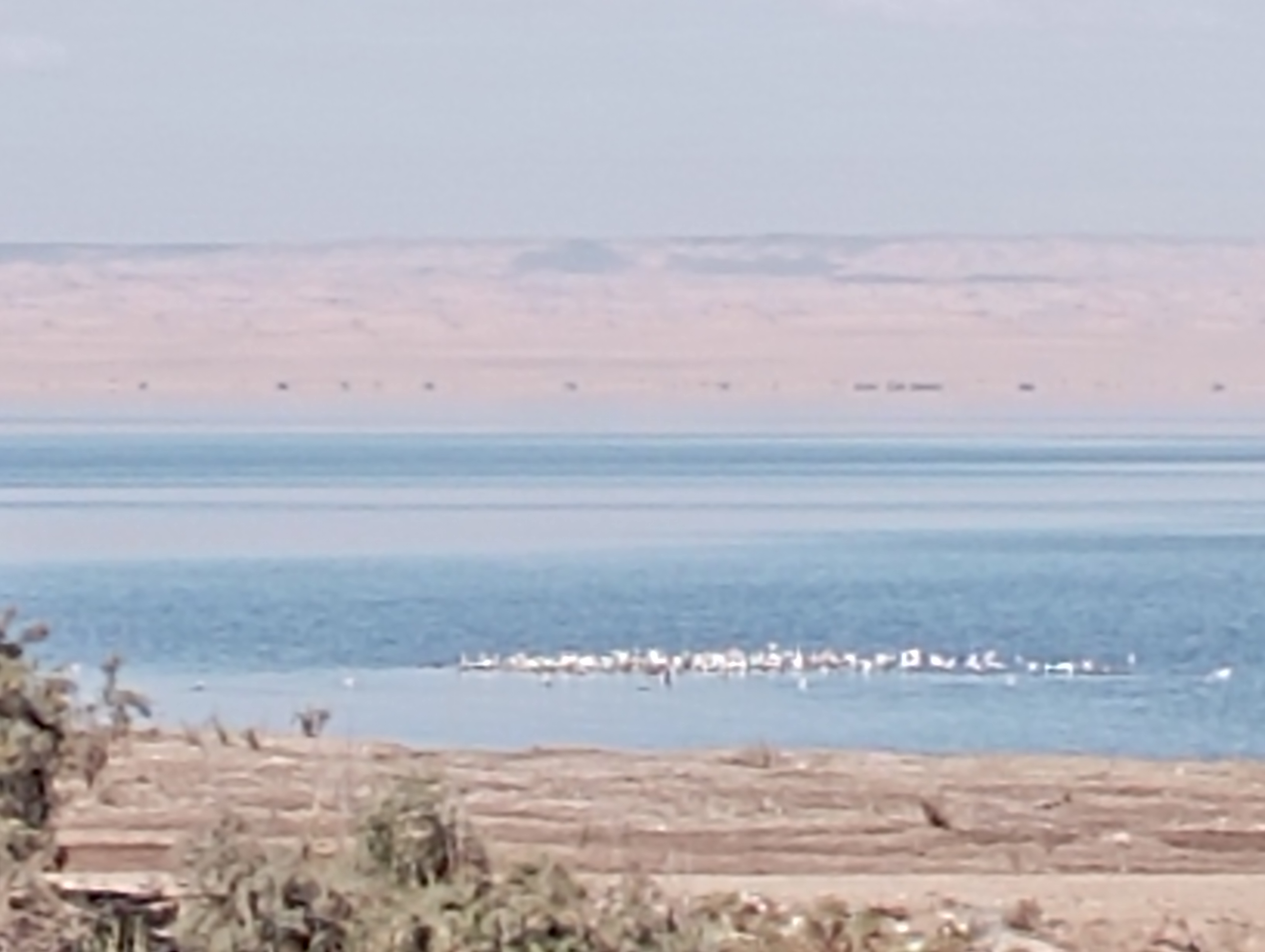 Birds watching tour to Fayoum