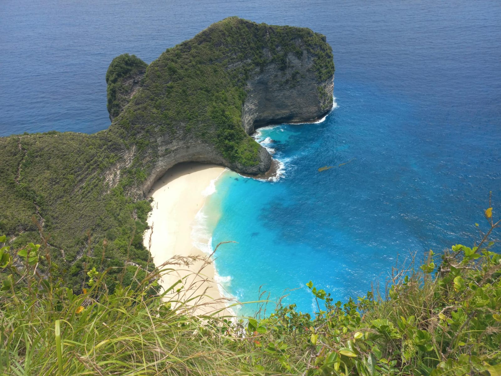 صورة الرحلة