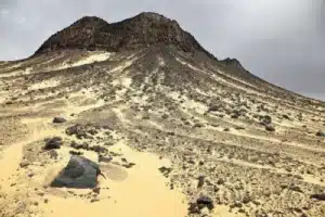 صورة الرحلة