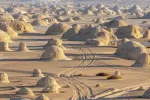 صورة الرحلة