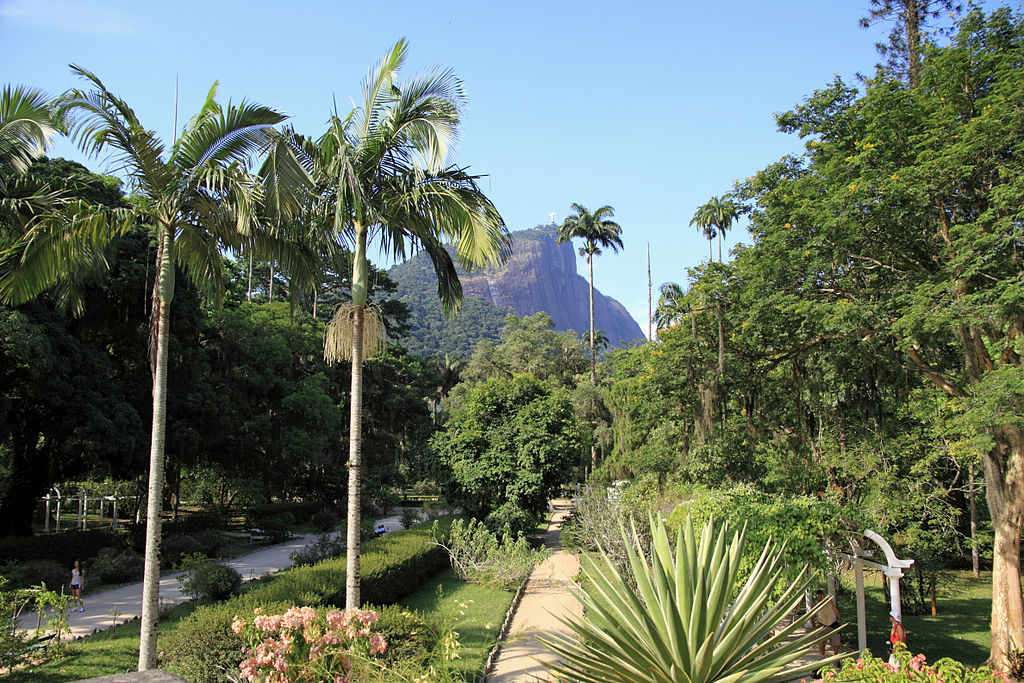 حديقة جارديم بوتانيكو ـ ريودي جانيرو ـ البرازيل