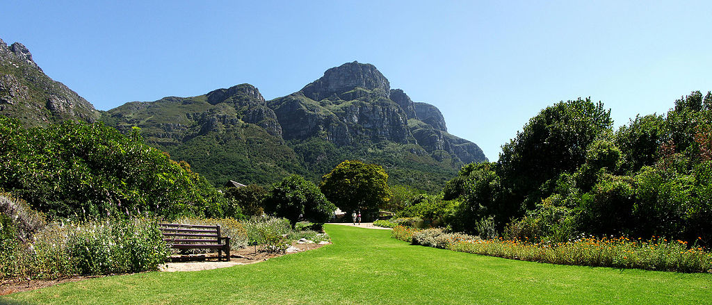 حديقة كريستينبوش النباتية الوطنية ـ كيب تاون ـ جنوب أفريقيا