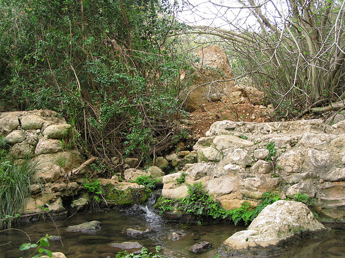 وادي الخبطة حيث التقاء المياه المالحة والعذبة 06%282%29