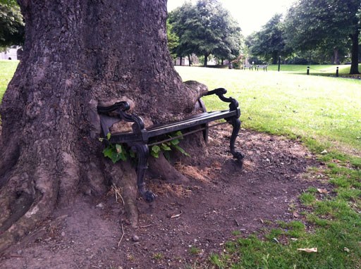 الشجرة المفترسة في دبلن.. Hungry-Tree-1
