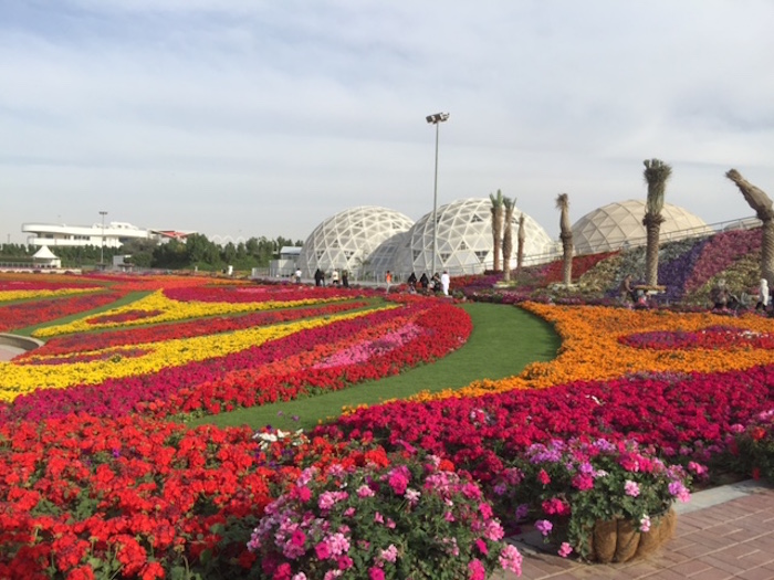 حديقة دبي للفراشات أسطورة خيالية على أرض عربية يلا بوك