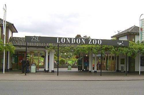 حديقة حيوان لندن