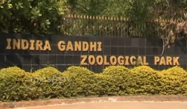 حديقة حيوان أنديرا غاندي