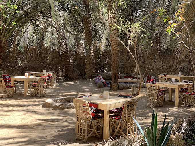 أفضل مطاعم سيوة
