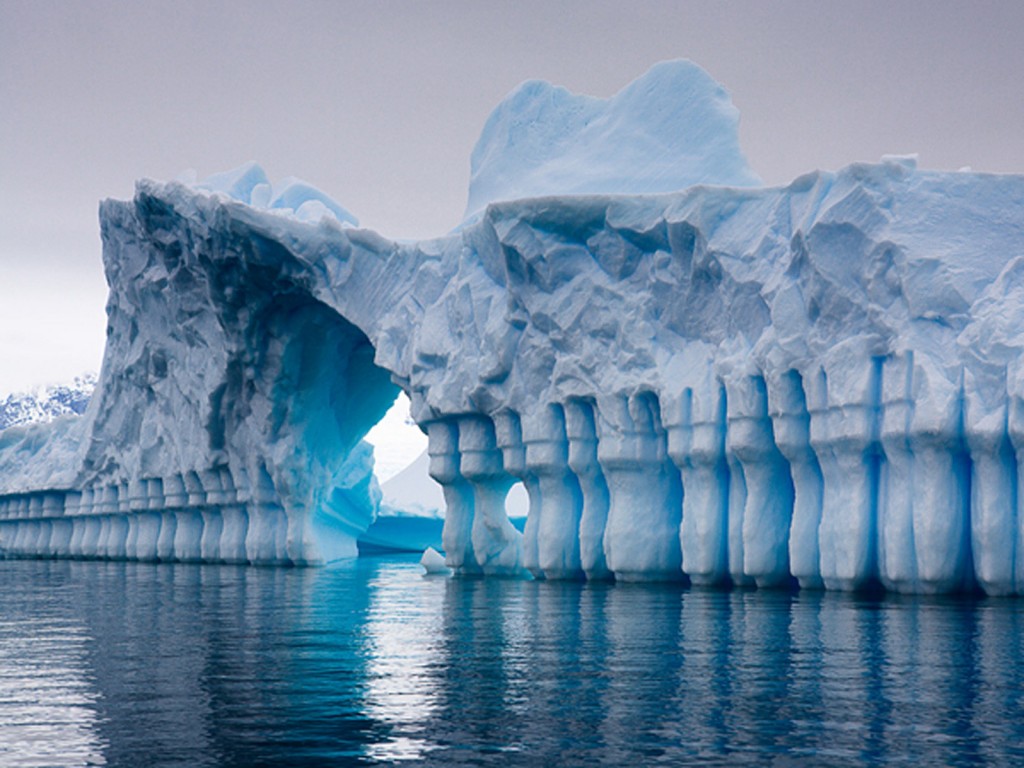 10 حقائق سريعة ومرحة عن القارة القطبية الجنوبية