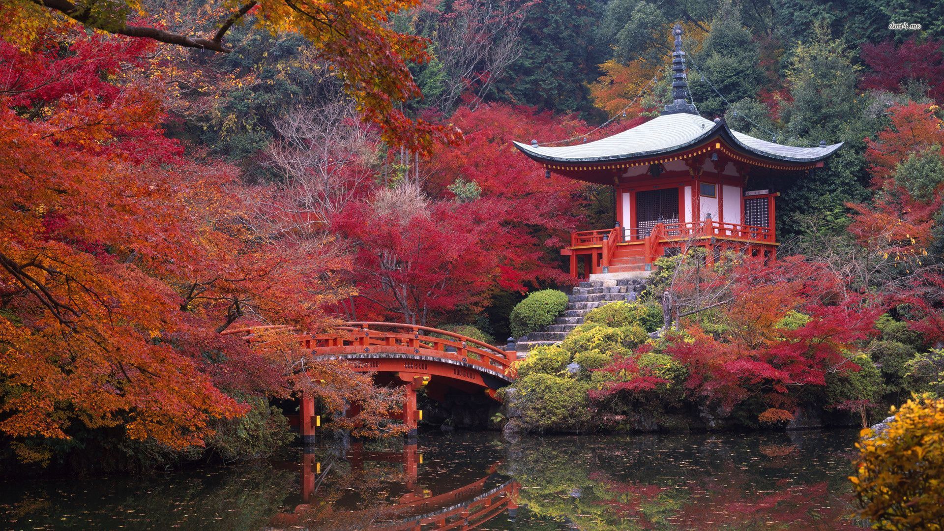 تعرف على مدينة كيوتو أهم المدن السياحية في اليابان