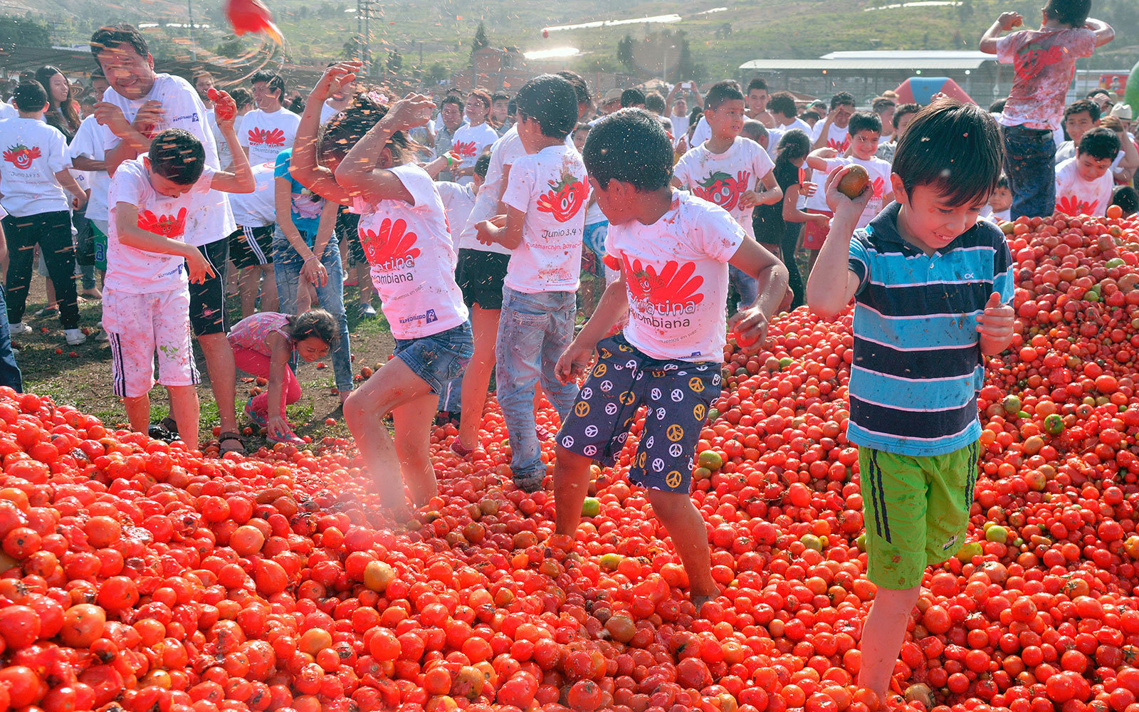  مهرجان الطماطم.. هيا بنا نتقاذف الطماطم بجنون