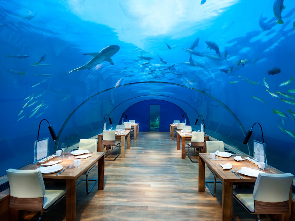  فنادق تحت الماء حقيقة مذهلة في الأعماق بعد أن كانت مجرد أسطورة