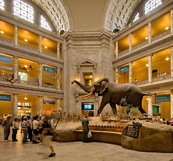 Вашингтон национальный музей