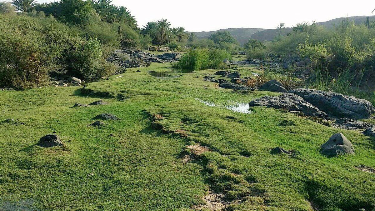 وادي خضرة بالسعودية.. المكان الذي غير الرسول اسمه