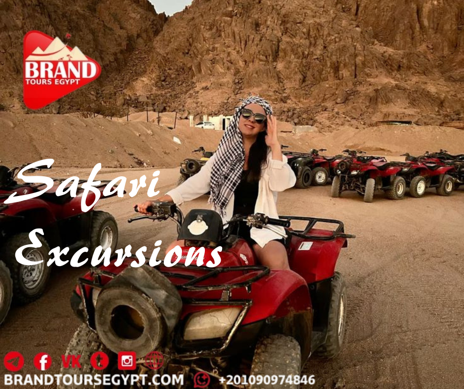 صورة الرحلة