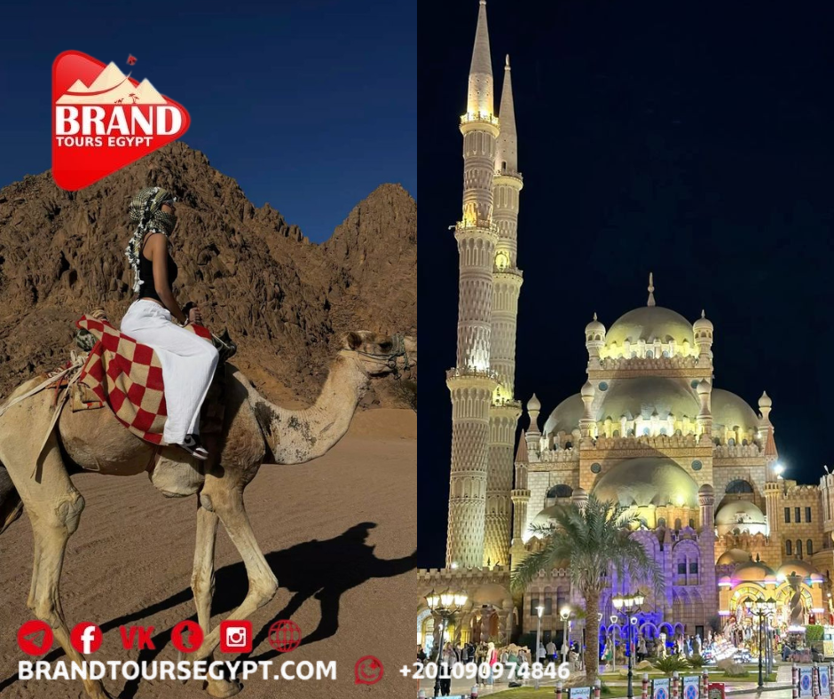 صورة الرحلة