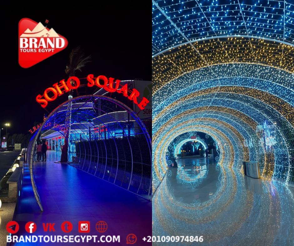 صورة الرحلة