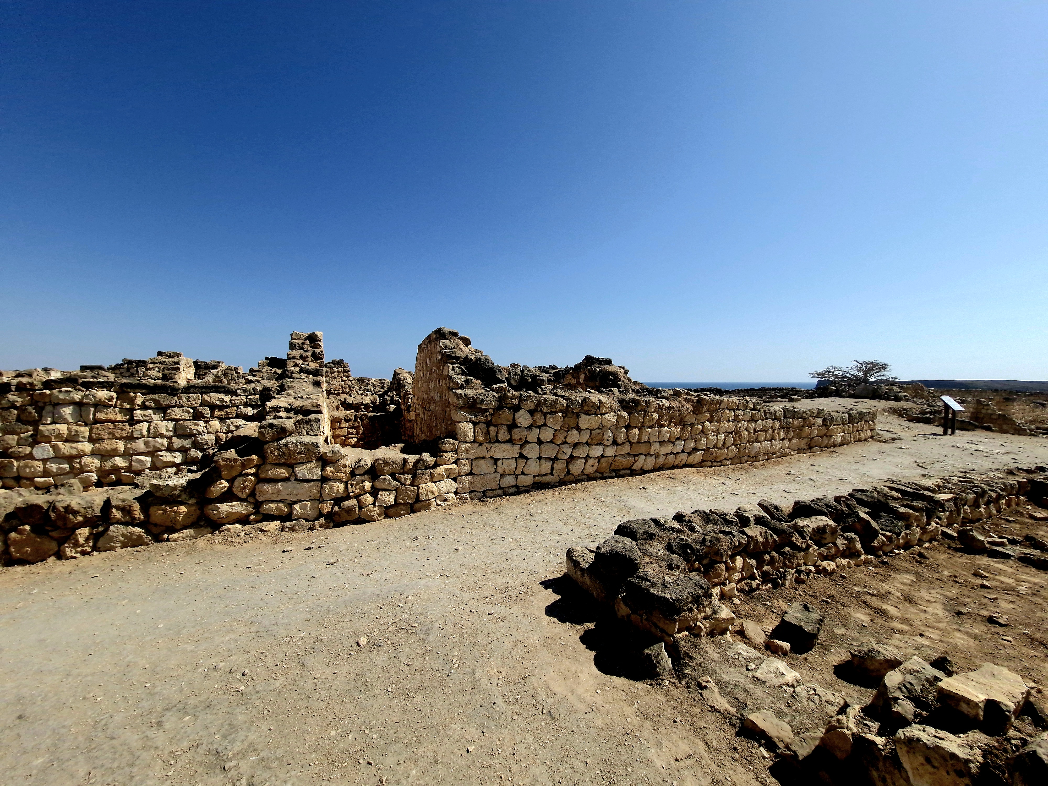 صورة الرحلة