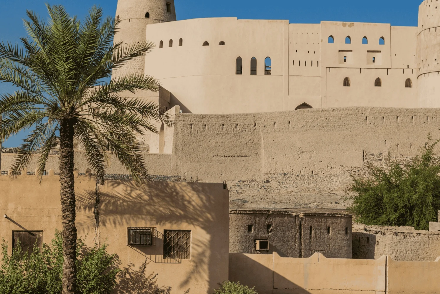 صورة الرحلة
