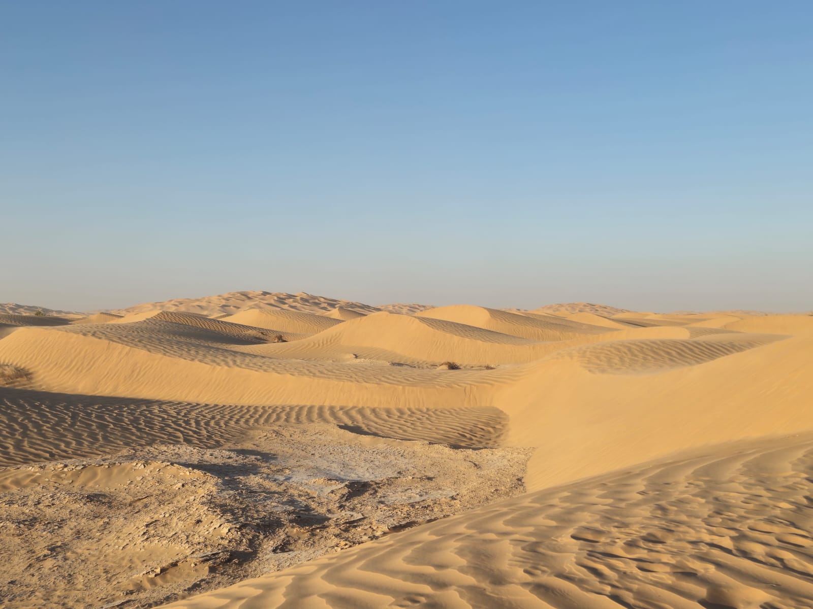 صورة الرحلة