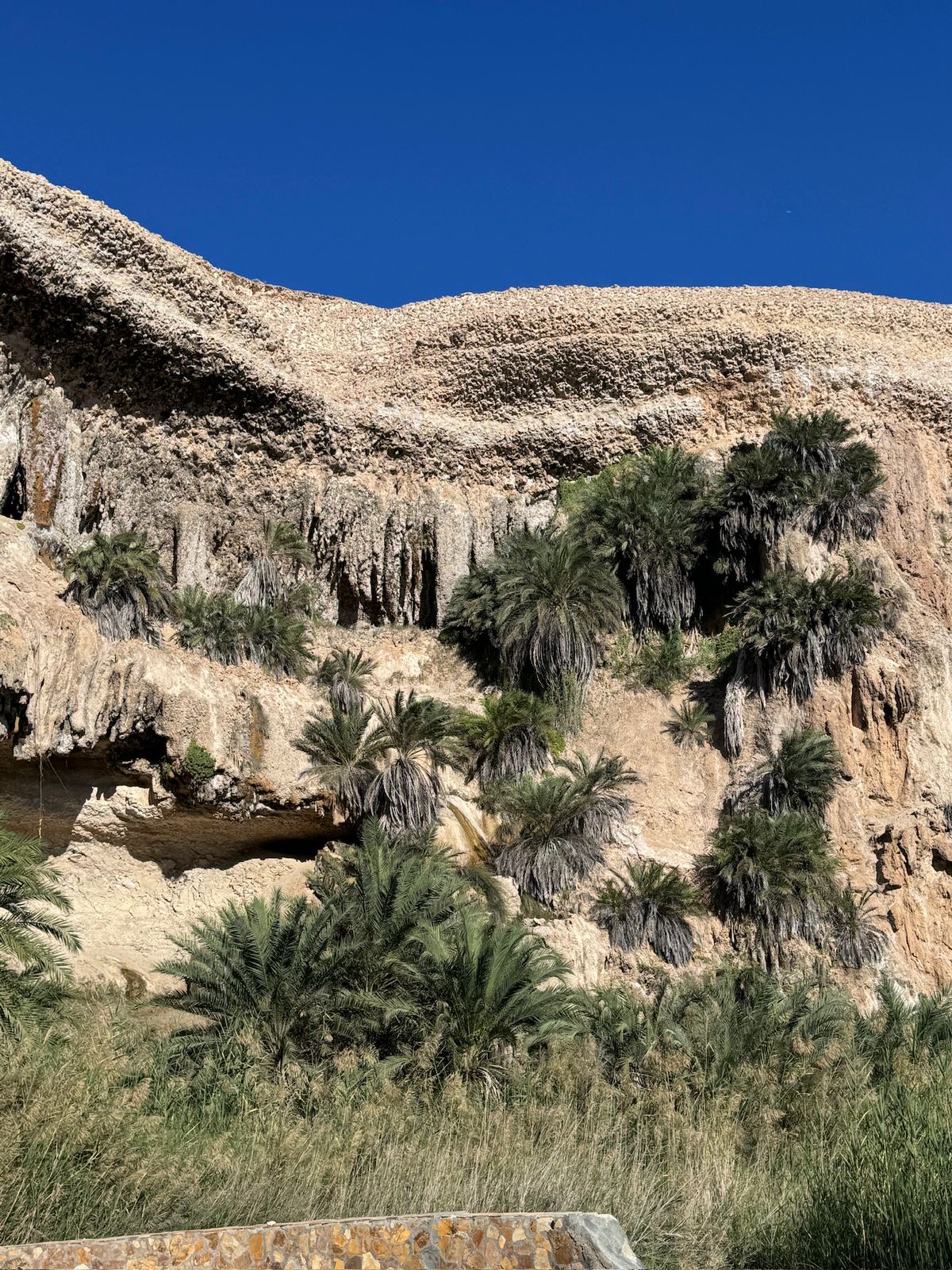 صورة الرحلة