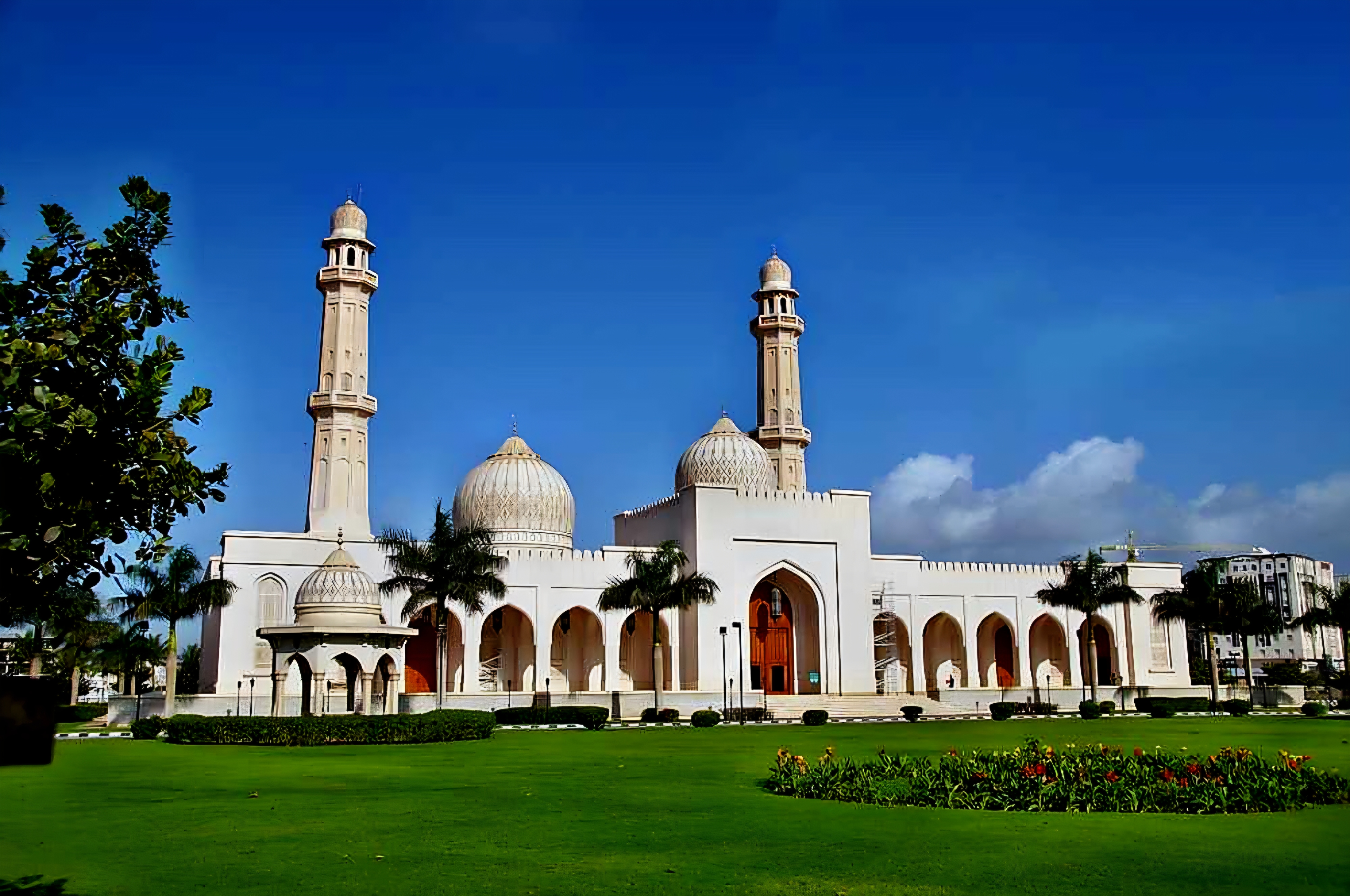 صورة الرحلة