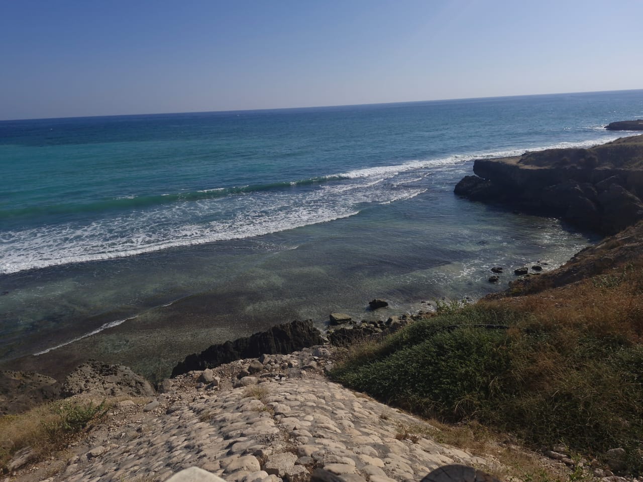 صورة الرحلة