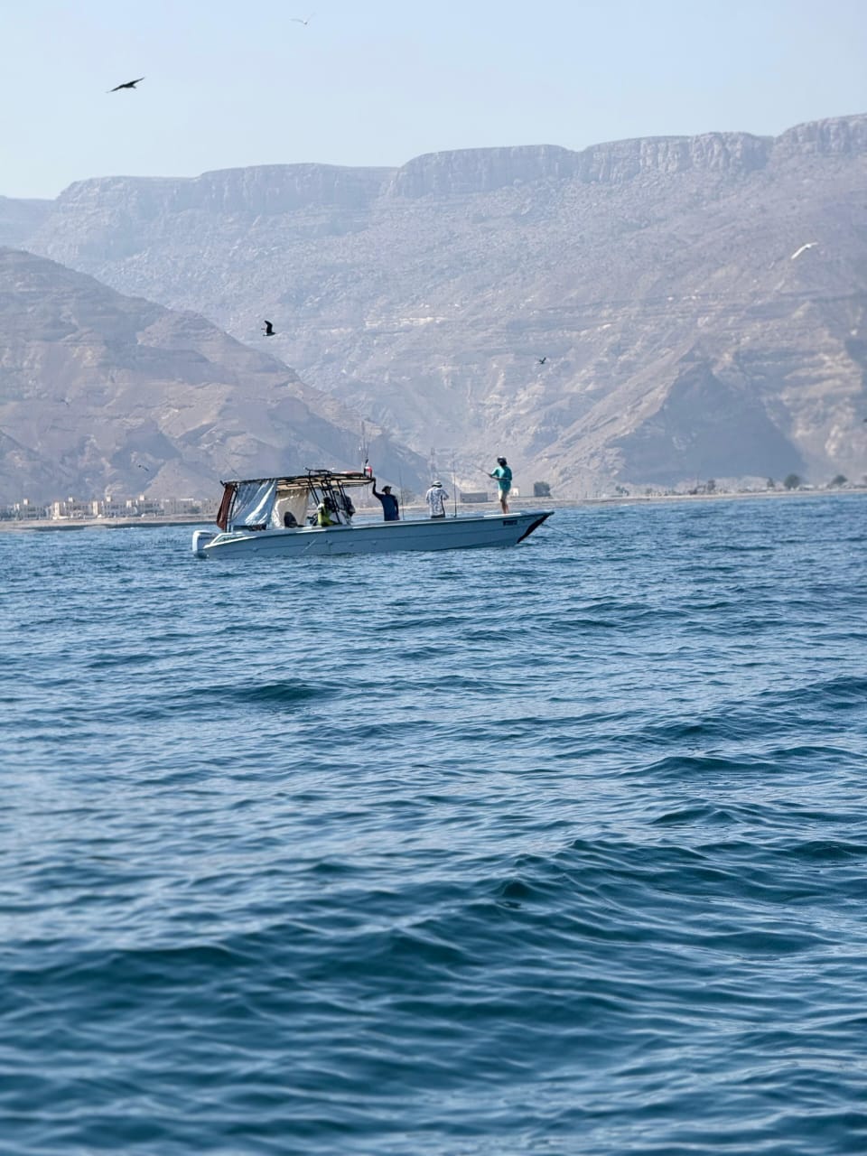 صورة الرحلة