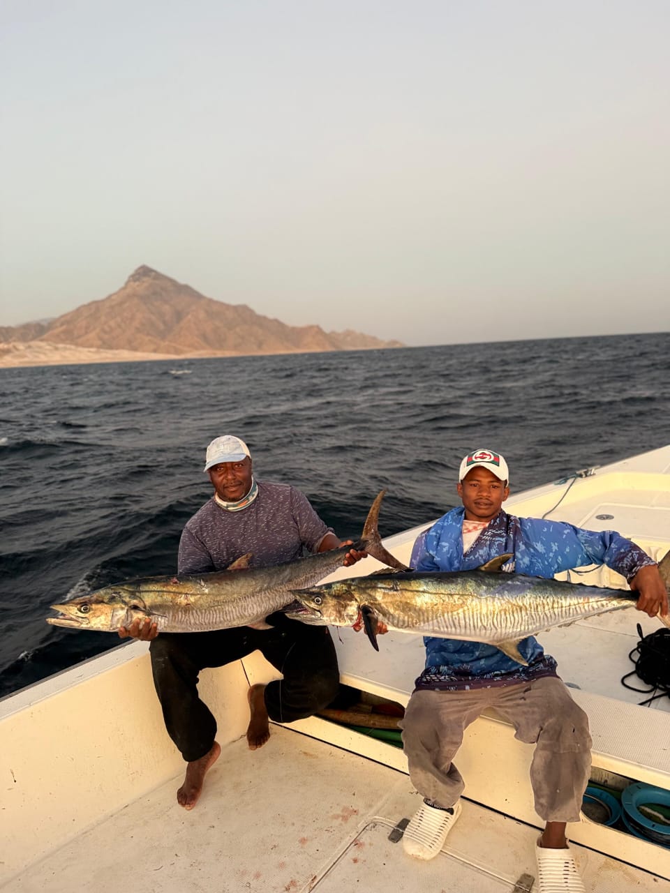 صورة الرحلة