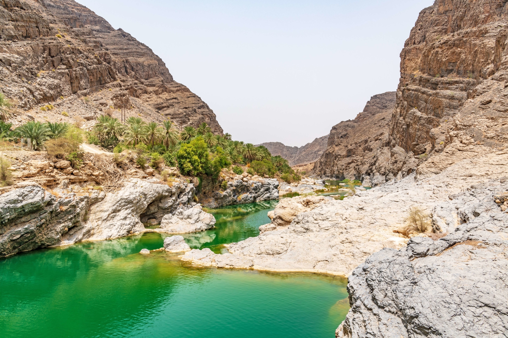 صورة الرحلة