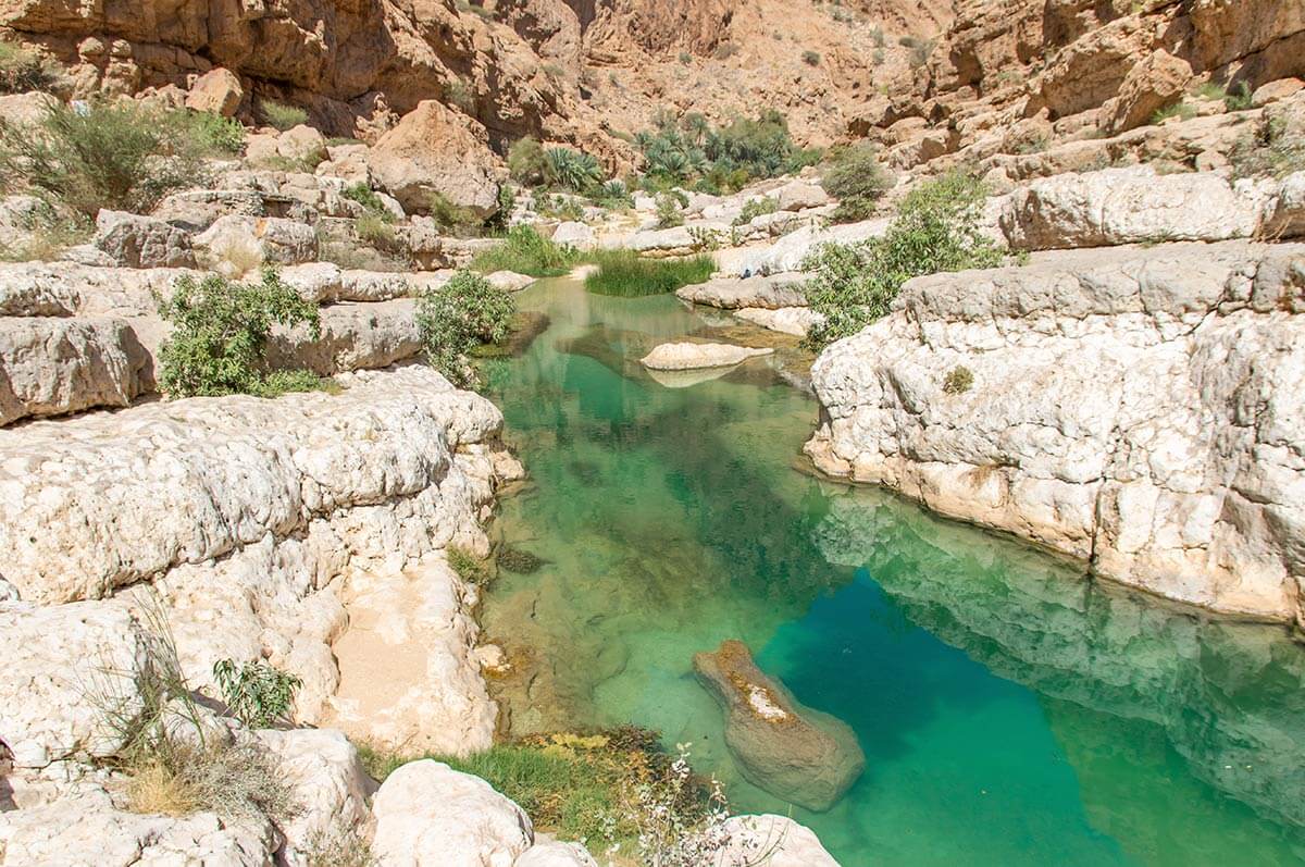 صورة الرحلة
