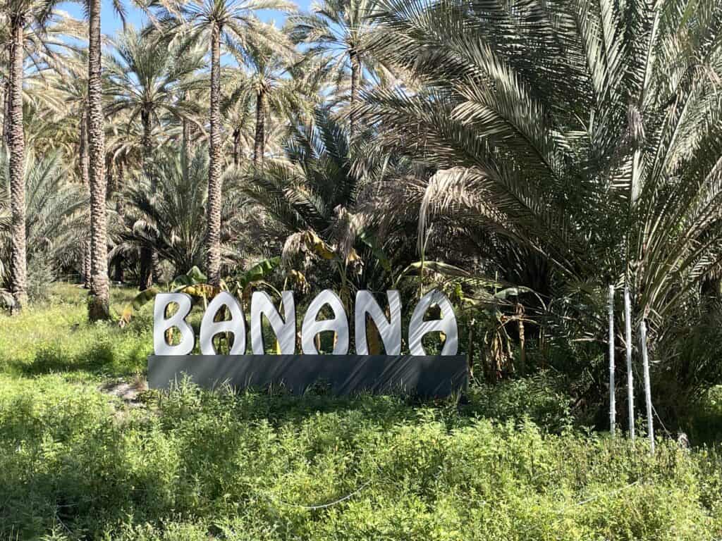 صورة الرحلة
