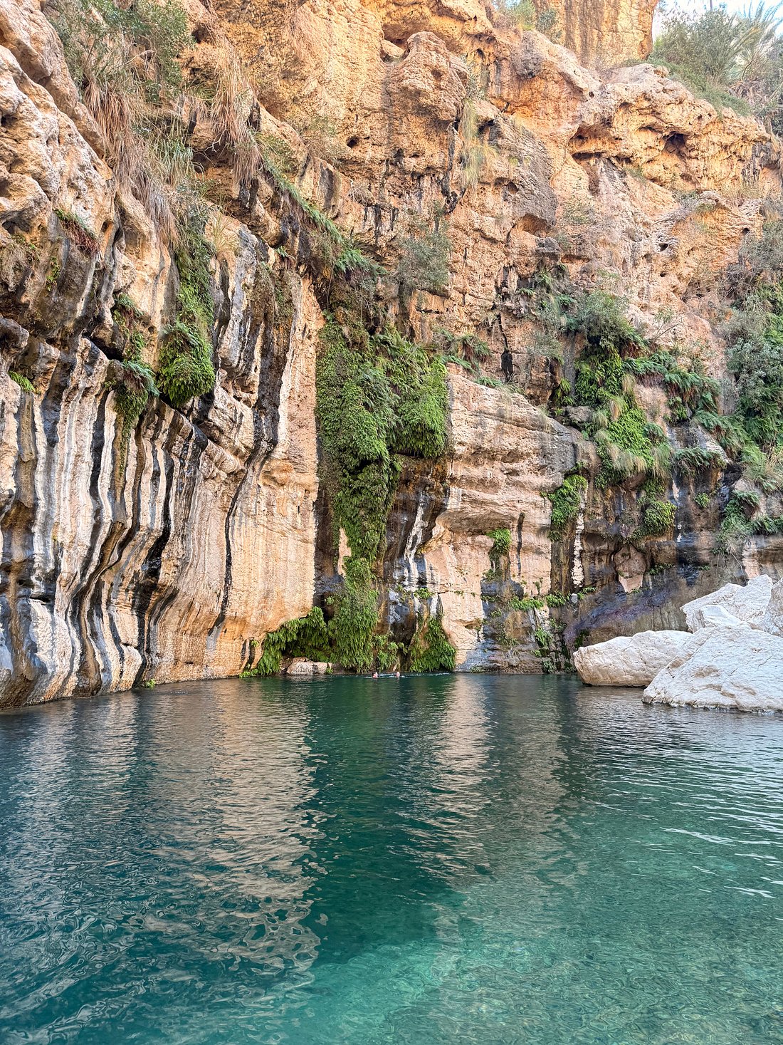 صورة الرحلة