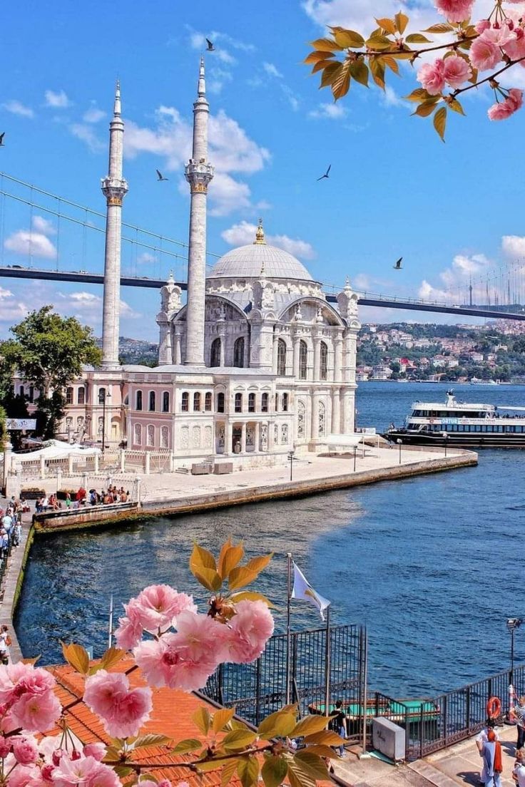 صورة الرحلة