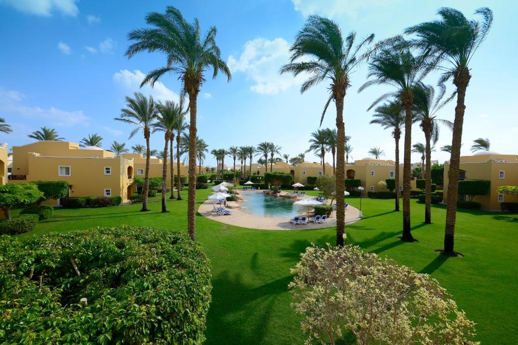 صورة الرحلة