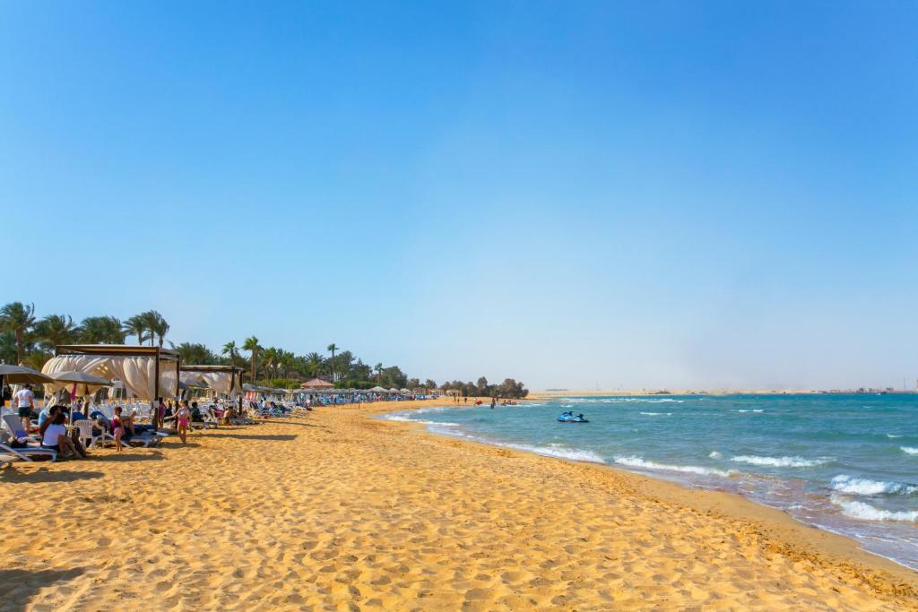 صورة الرحلة