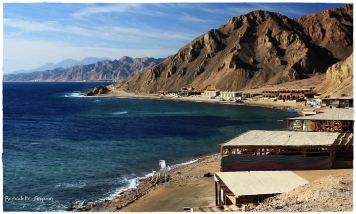 صورة الرحلة