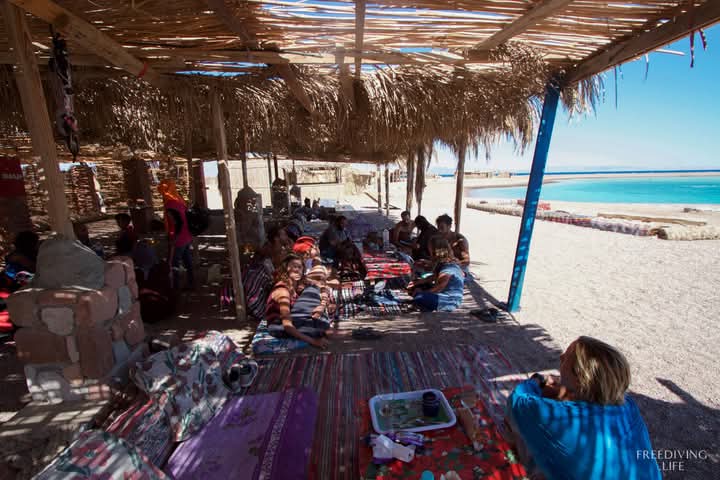 صورة الرحلة