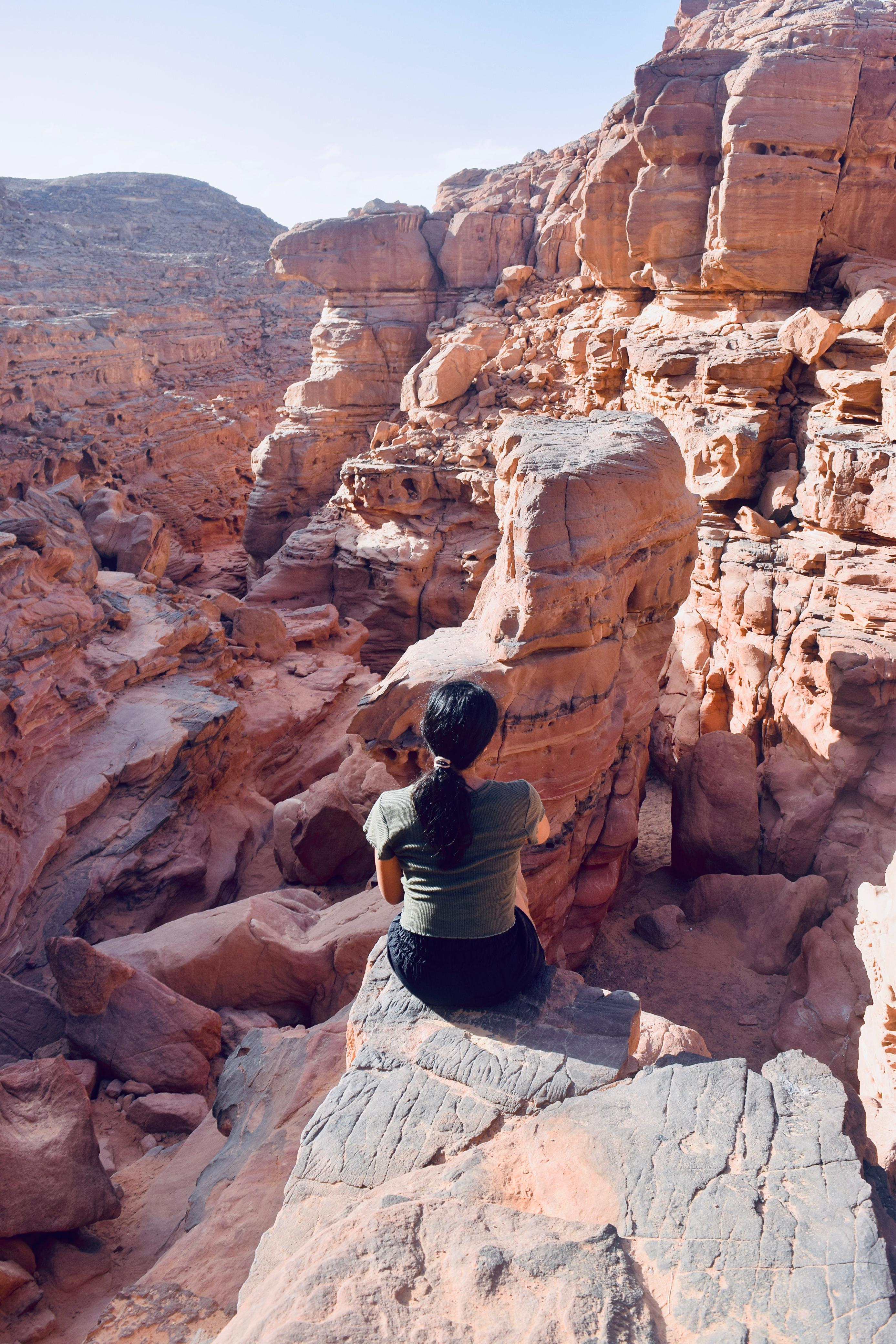 صورة الرحلة