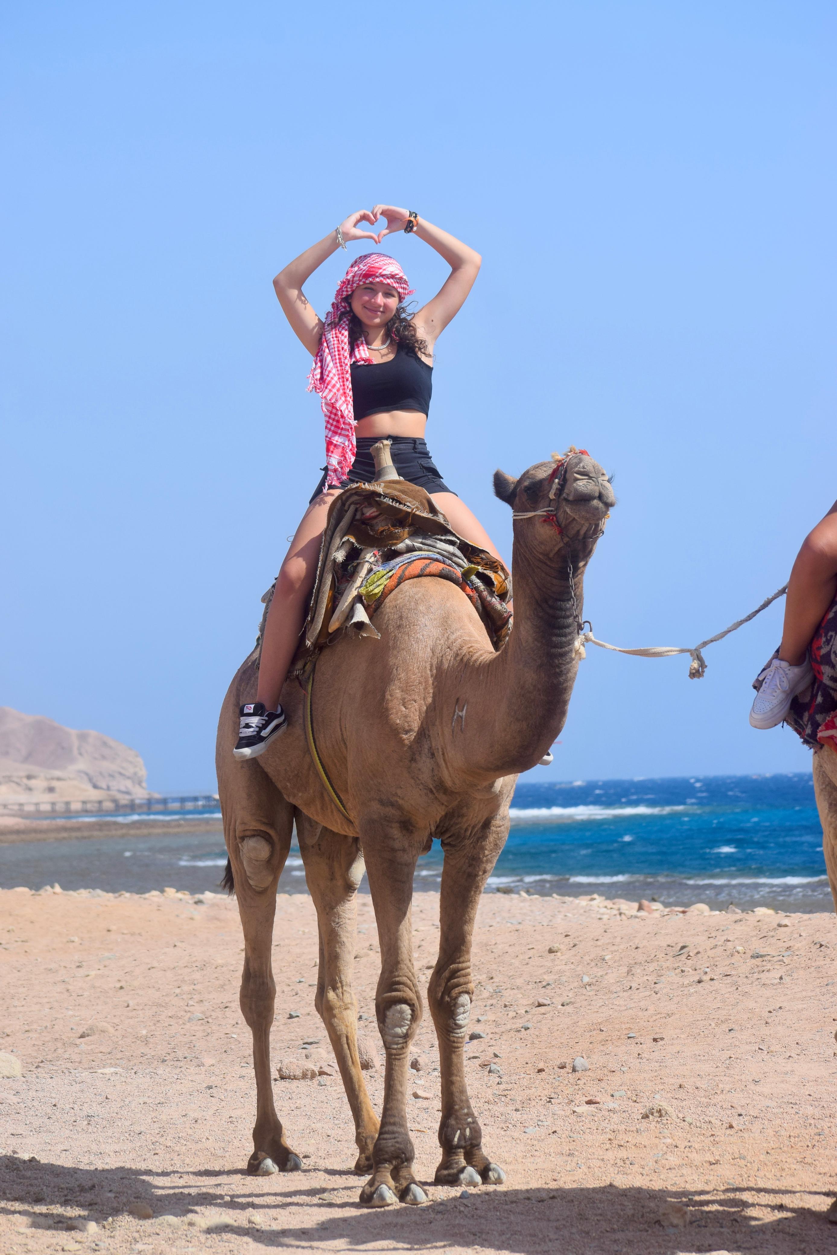 صورة الرحلة